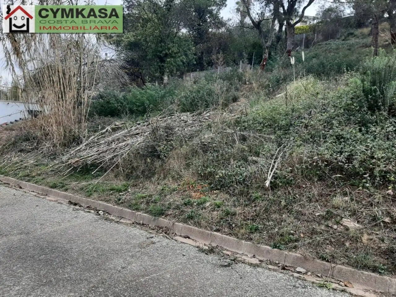 Terrain rustique à vendre à Calle LA FONT, imagen 15