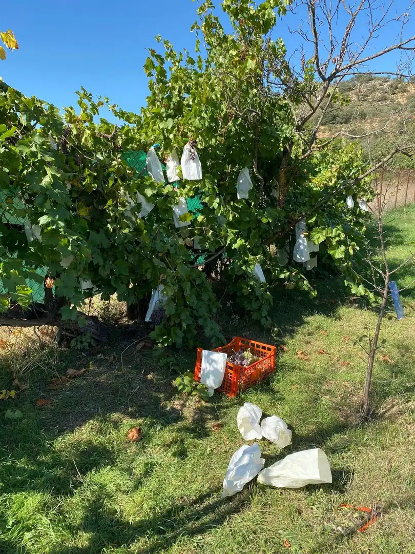 Jardín de Terreno en venta en Escopete