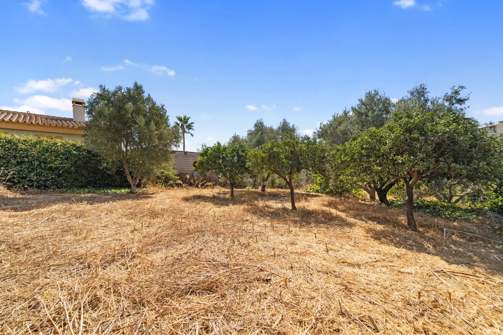 Finca rústica en venda en Mijas amb Jardí privat i Piscina