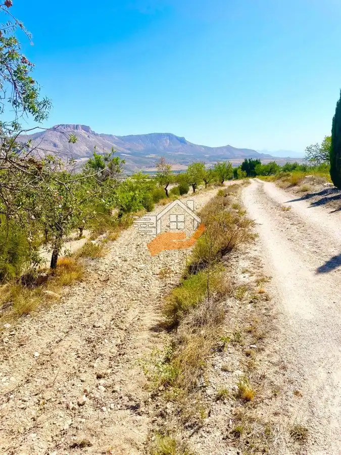 Lands and plots for sale in Vélez-Blanco, imagen 3