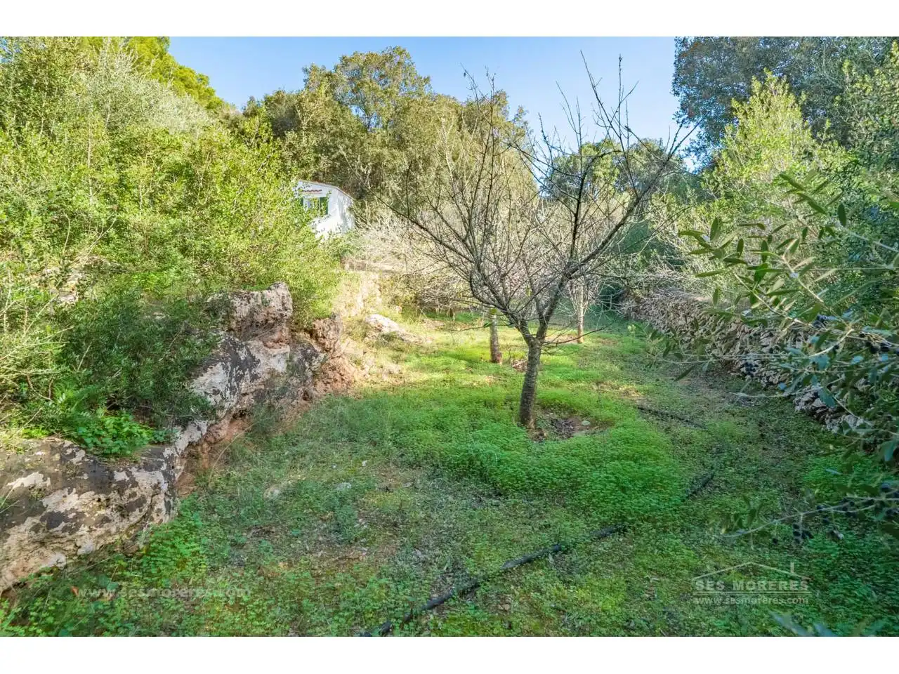Finca rústica en venda en Es Mercadal amb Jardí privat i Terrassa