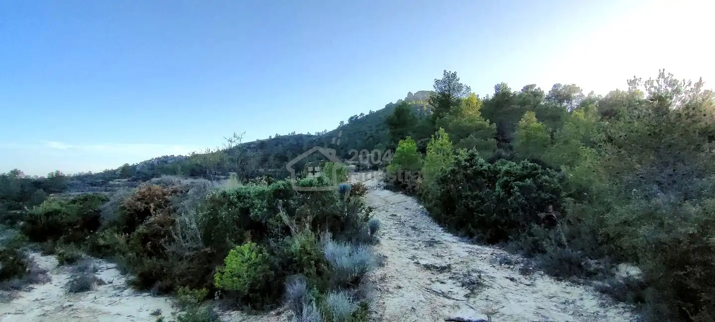 Terreny rústic en venda a Les Urques, imagen 3