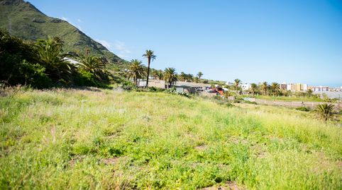 Photo 2 of Land for sale in Carretera General de Bajamar, 124, Bajamar, San Cristóbal de la Laguna