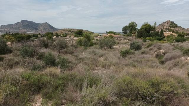 Terreno residencial en Venta en Verdegas, 8A, -1 en Agost