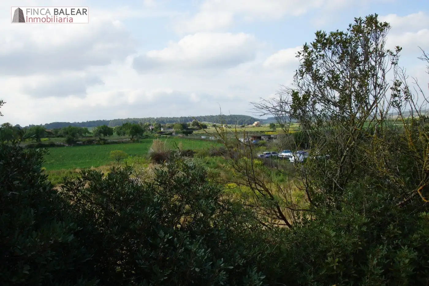 Terreno rustico in vendita a Algaida, imagen 7