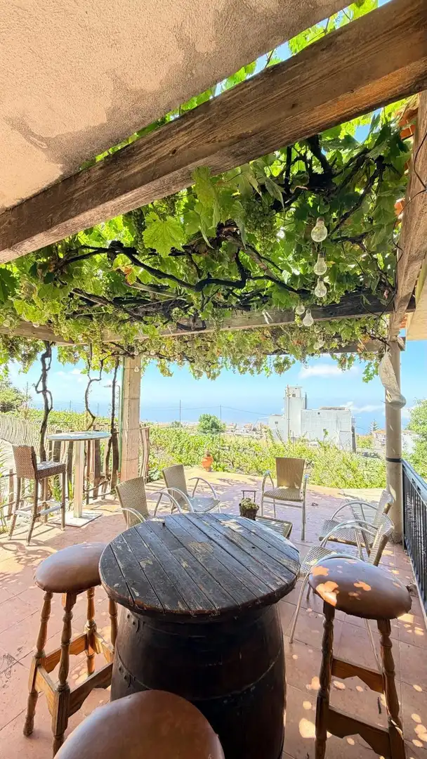 Terraza de Finca rústica en venta en Arona pueblo