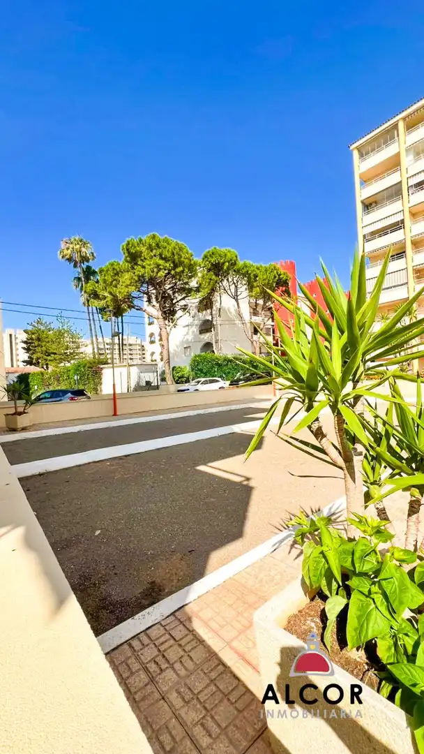 Gewerbefläche zum Verkauf in Playa Norte, imagen 22