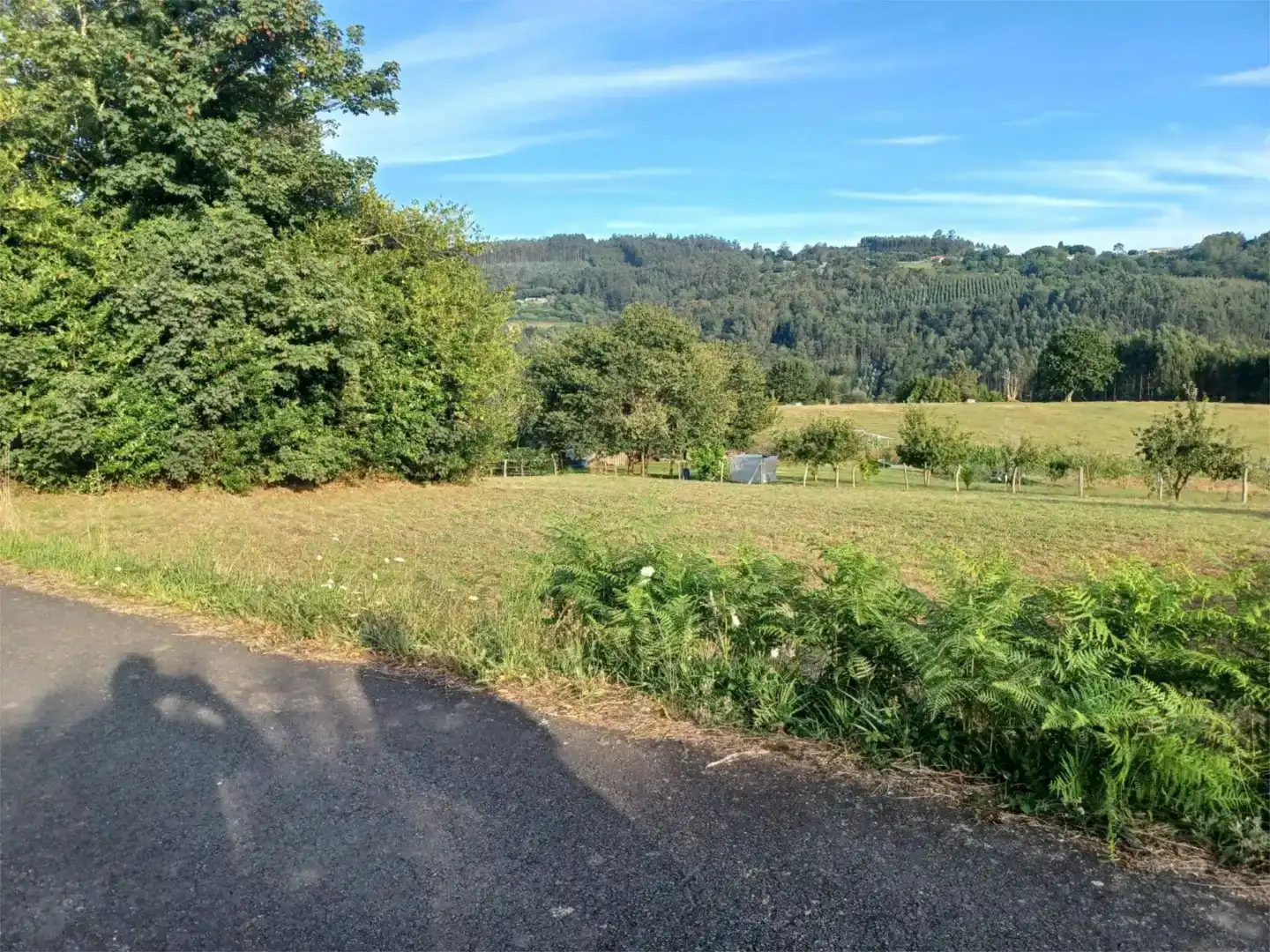 Country house zum Verkauf in As Somozas 