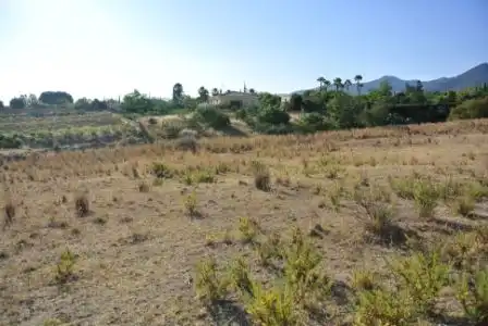 Terreno rustico in vendita a Camino Jose Vazquez Porras, imagen 2