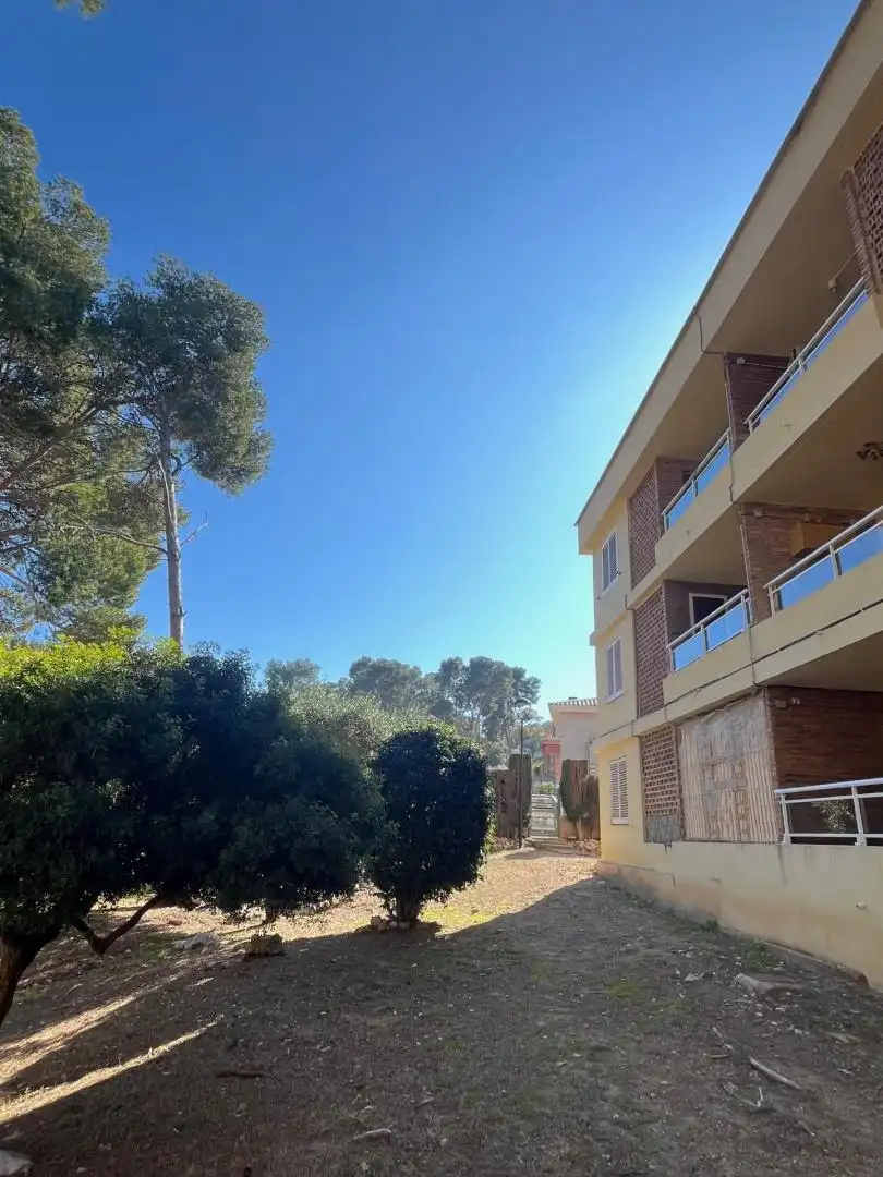 Flat with garden for sale in del Pla de l'Era, imagen 14