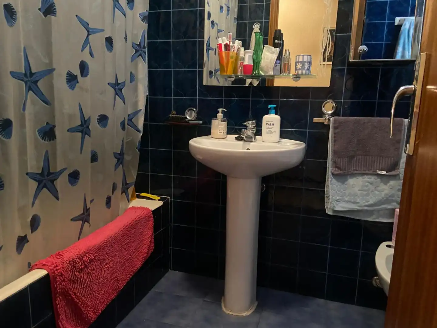 Baño de Casa o chalet en venta en Valdepeñas con Terraza