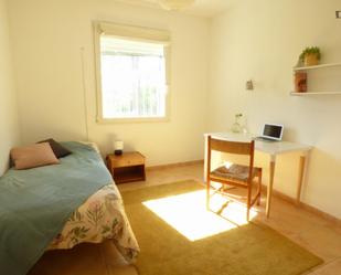 House or chalet to share in La Cala del Moral