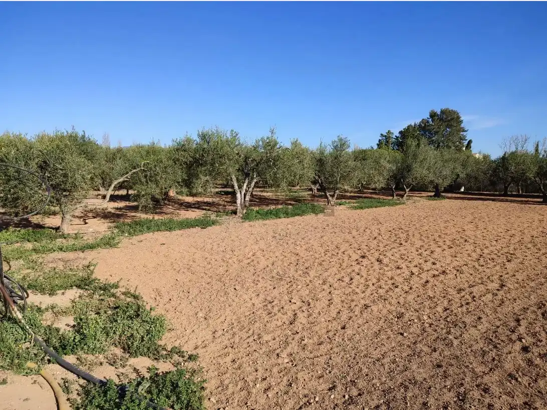 Wohnbaugrundstück zum Verkauf in Llevant, imagen 32