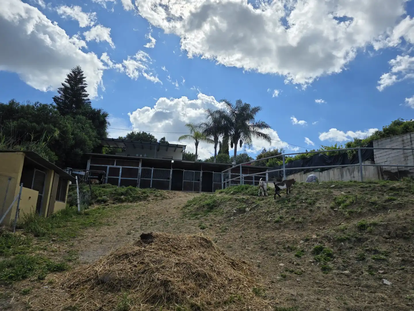 Vista exterior de Finca rústica en venta en Cártama con Aire acondicionado, Jardín privado y Terraza