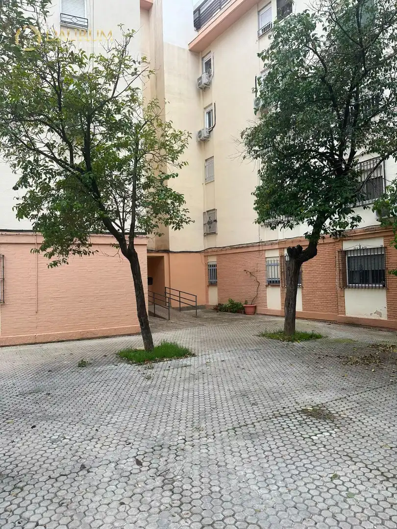Wohnung mit Aufzug zur Miete in BARRIO TIRO DE LÍNEA, imagen 2