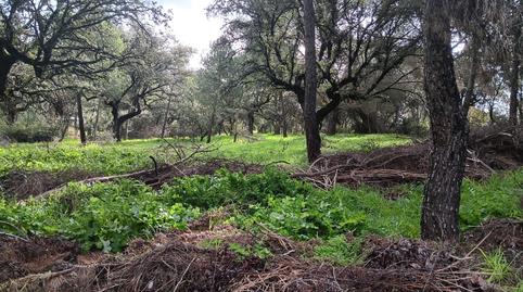 Photo 4 of Residential for sale in Calle Retama, 15, Casco Antiguo, Madrid