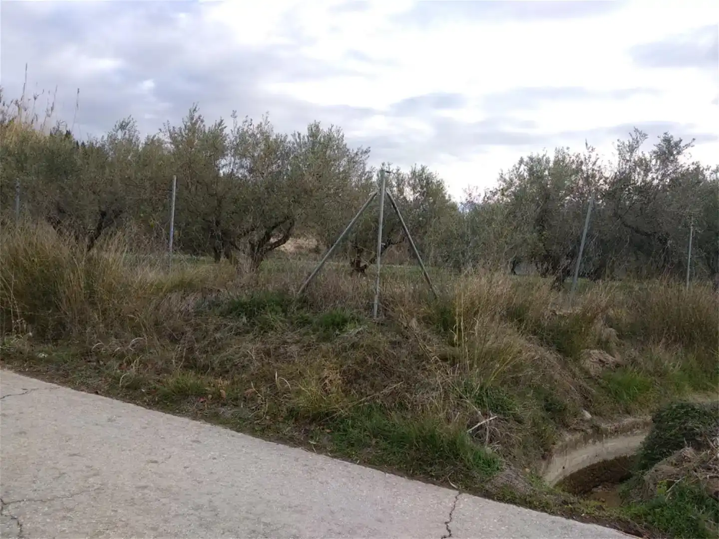 Terreno en venta en Agullent