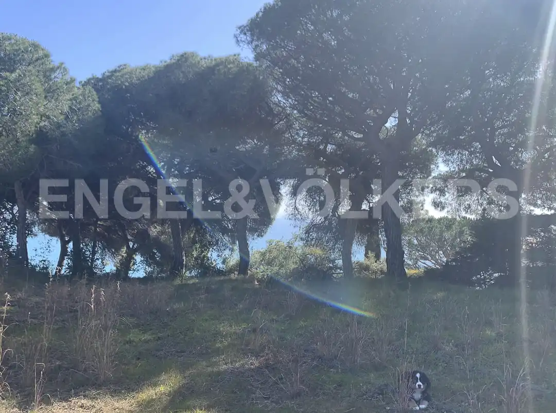 Terreno residenziale in vendita a Zona alta, imagen 8