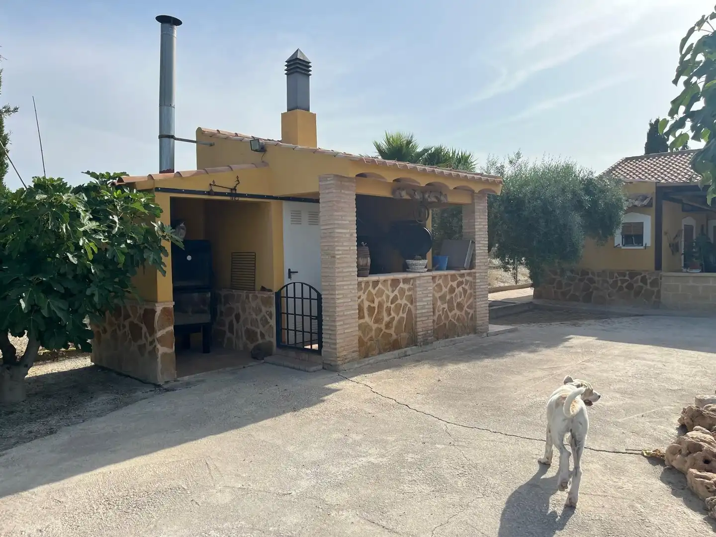 Vista exterior de Casa o chalet en venta en Murcia con Aire acondicionado, Calefacción y Terraza