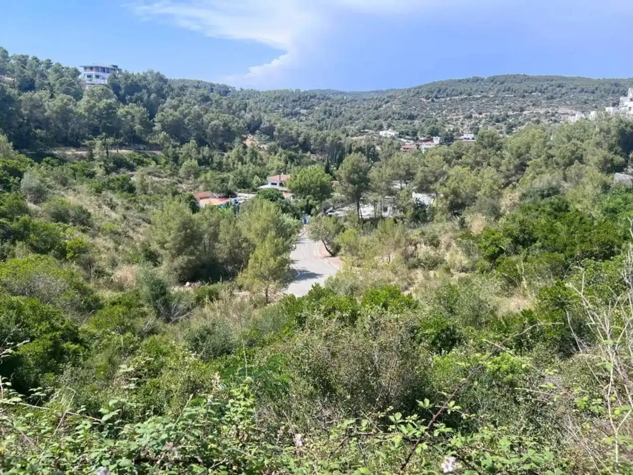 Terreno rústico en venta en Calle Mont Rodó, imagen 2