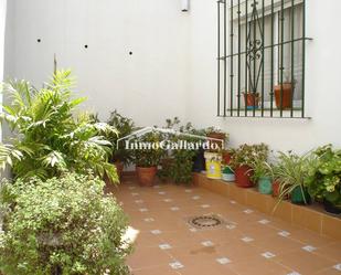 Garden of House or chalet for sale in Málaga Capital  with Terrace