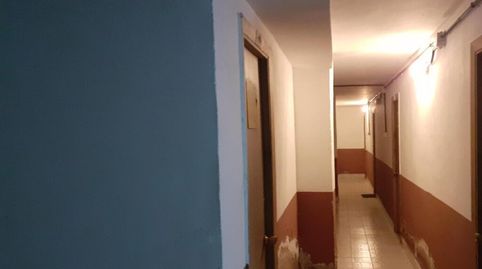 POLA DE LENA, imatge 4
