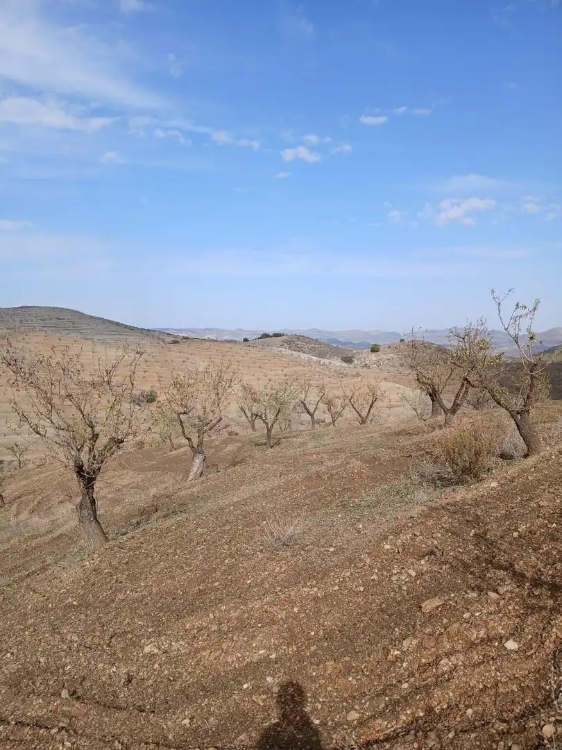 Terrenys i solars en venda a Puerto Lumbreras, imagen 31