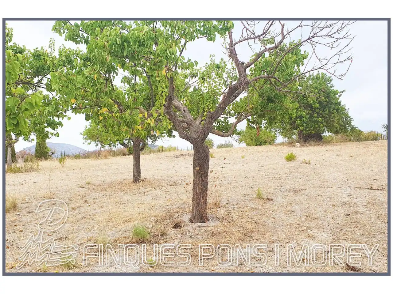 Terrain rustique à vendre à Poligono 12 Sn, imagen 9