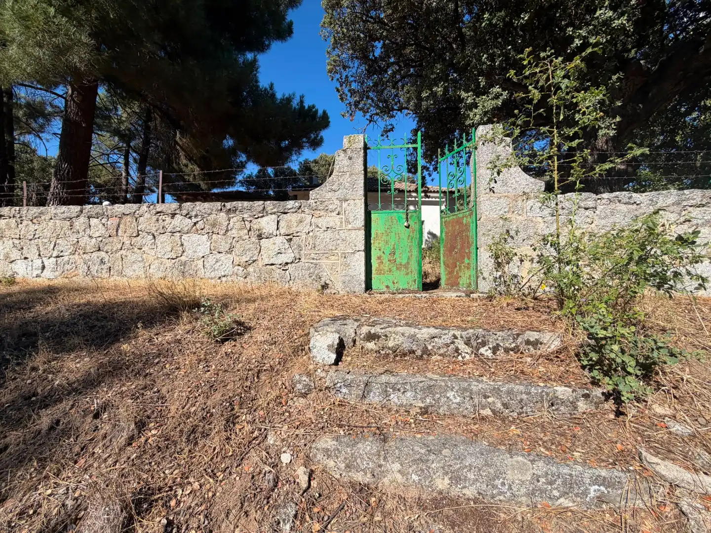 Finca rústica en venta en Muñana