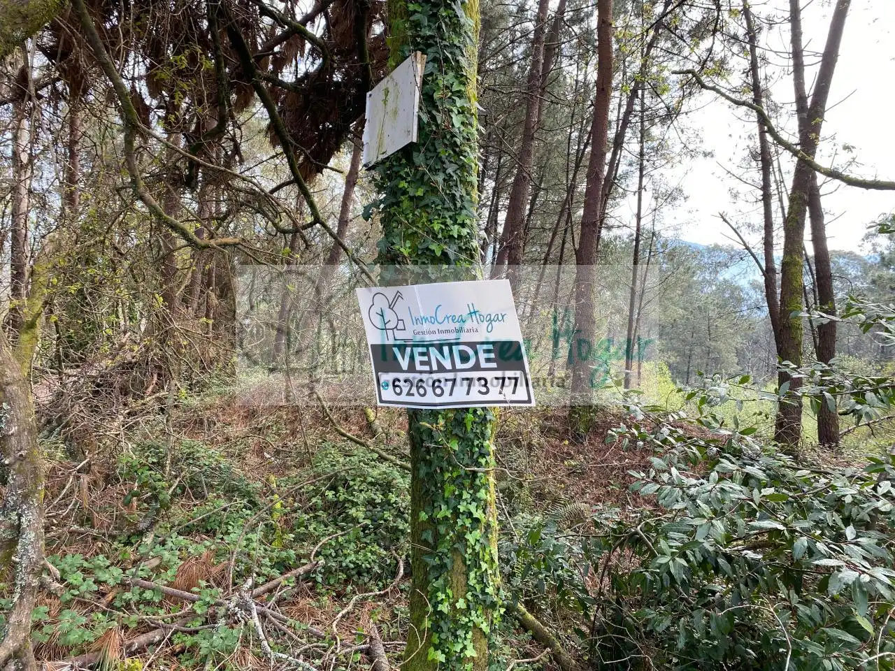 Terreny rústic en venda a Mos, imagen 4