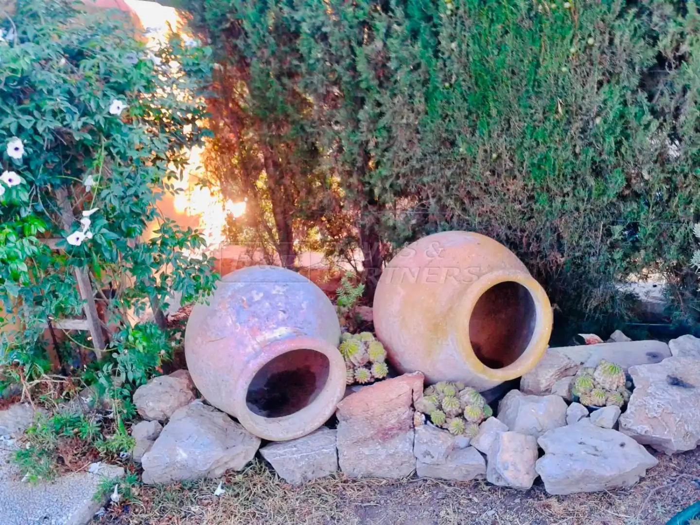 Jardín de Finca rústica en venta en Orihuela con Piscina