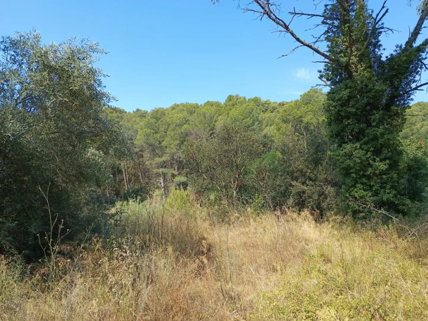 Residencial en venda en Palafrugell