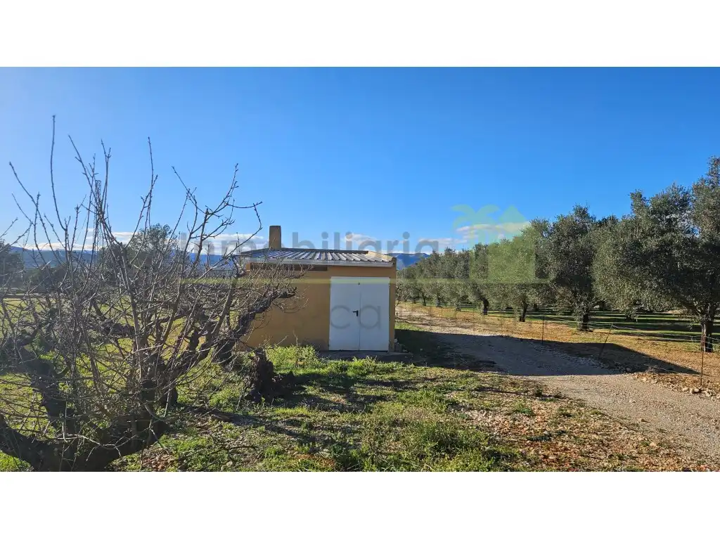 Casa o chalet en venta en Sant Mateu