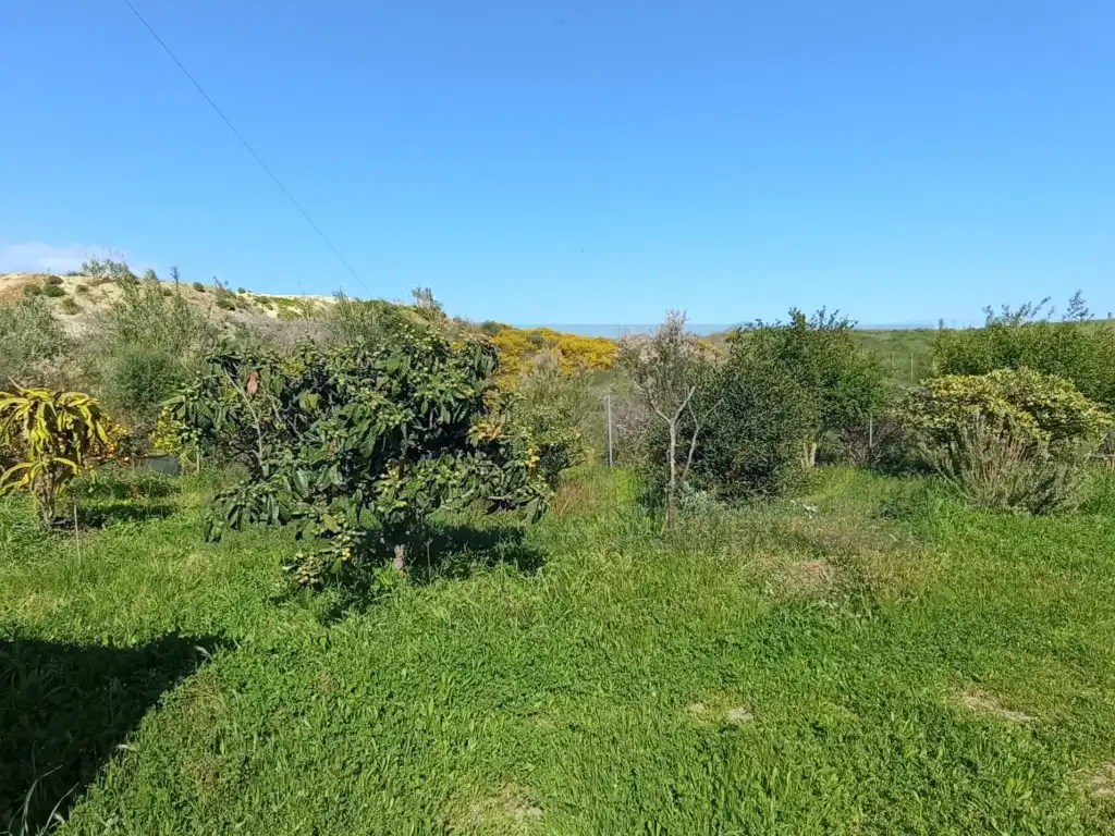 Country homes for sale in Estepona  with Private garden and Terrace
