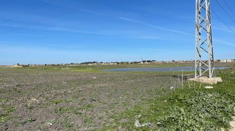Photo 5 of Country house for sale in Carretera de Sanlúcar - Sudamérica, El Puerto de Santa María