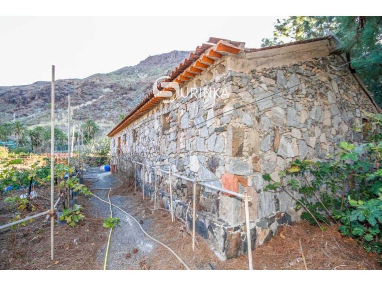 Haus oder Chalet zum verkauf in DE LA CORTE, San Bartolomé Interior