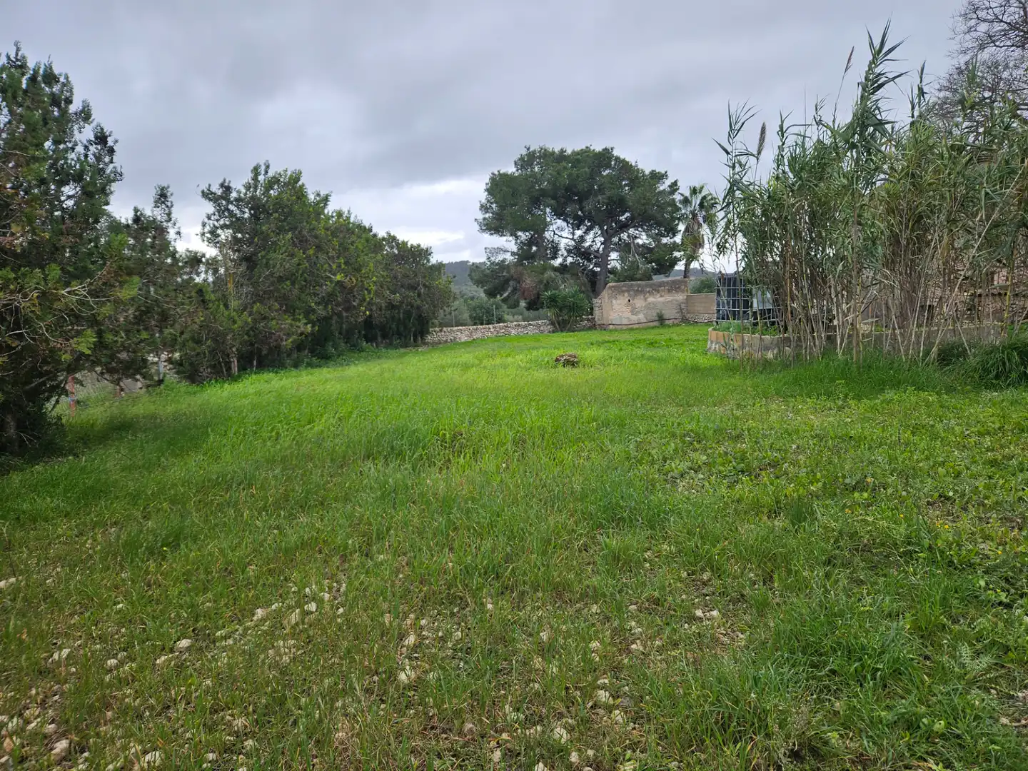 Rural land for sale in Carrer d'es Badaluc, imagen 3