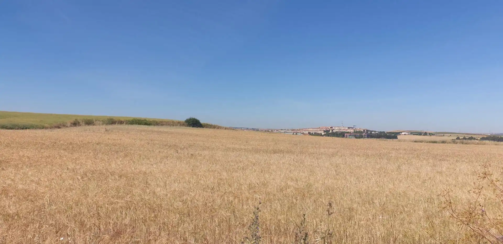 Rural land for sale in Villares de la Reina, imagen 8
