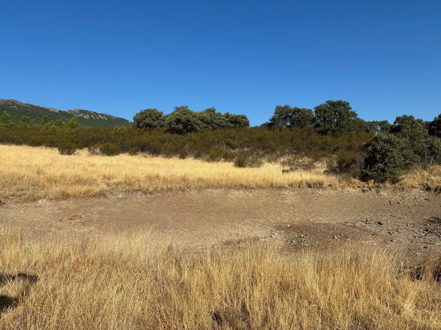 Rural land for sale in Puerto de San Vicente, imagen 14