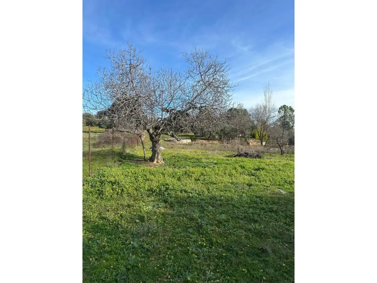 Residencial en venta en Puertollano