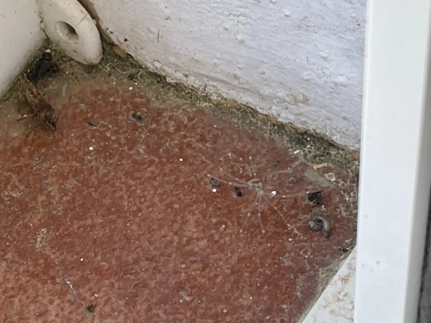 Casa rústica amb jardí en venda a Camino Quijonal 15, imagen 62