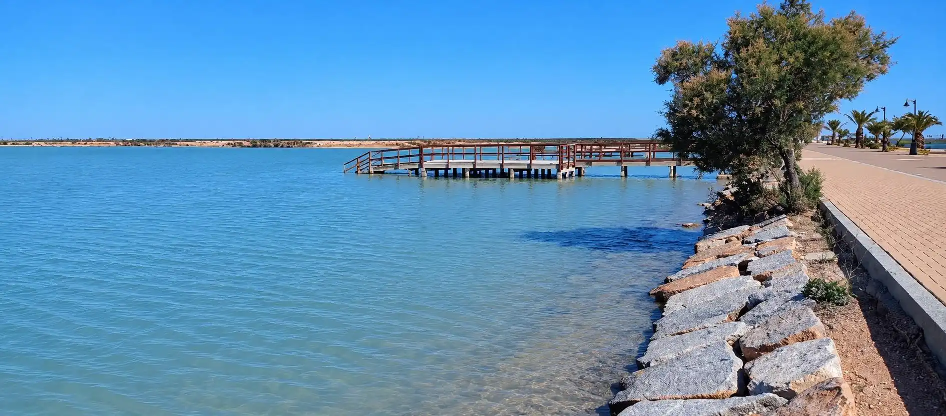 Baixos amb piscina en venda a San Pedro del Pinatar, imagen 18
