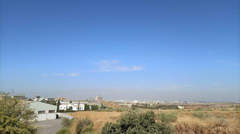 Photo 3 of Industrial land for sale in Centro, Sevilla