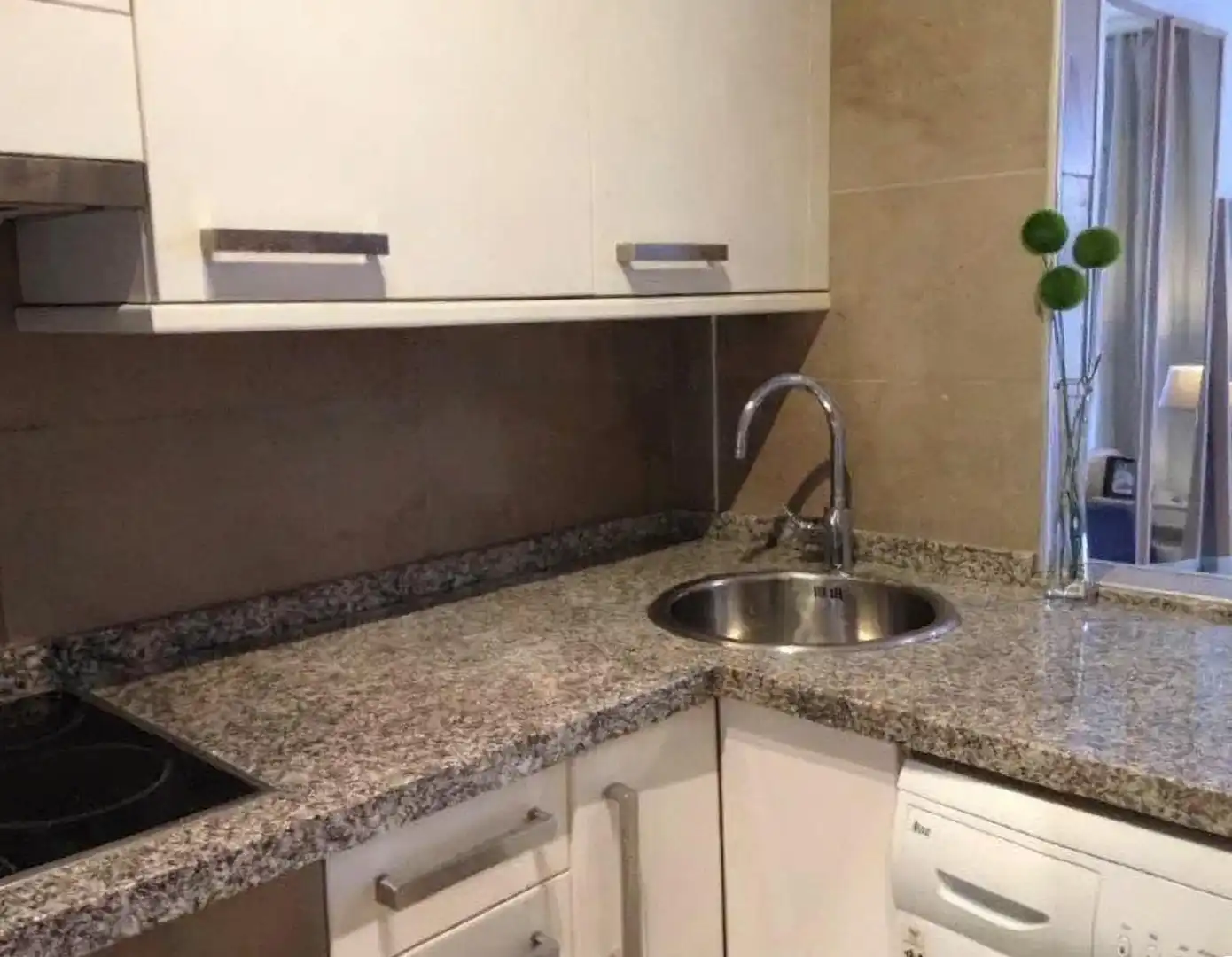 Studio to rent in Calle Calle Teodoro Cuesta, imagen 3