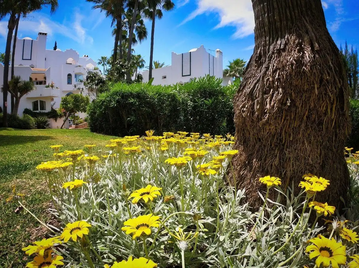 Vista exterior de Piso en venta en Marbella con Terraza, Piscina y Amueblado