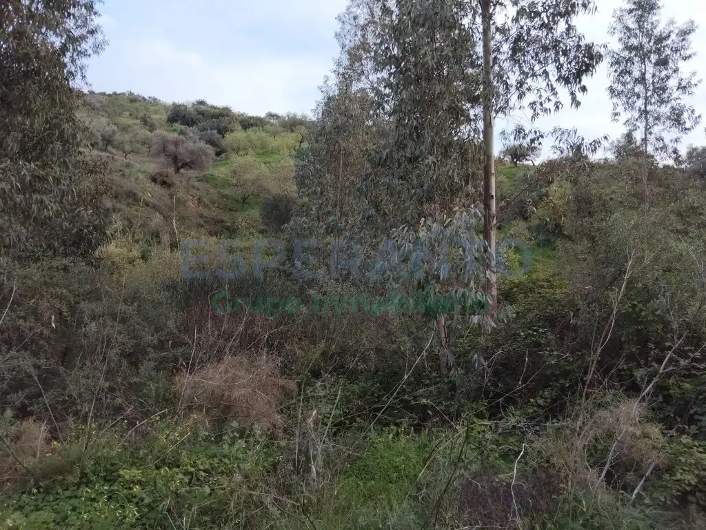 Terreni e lotti in vendita a Totalán, imagen 13