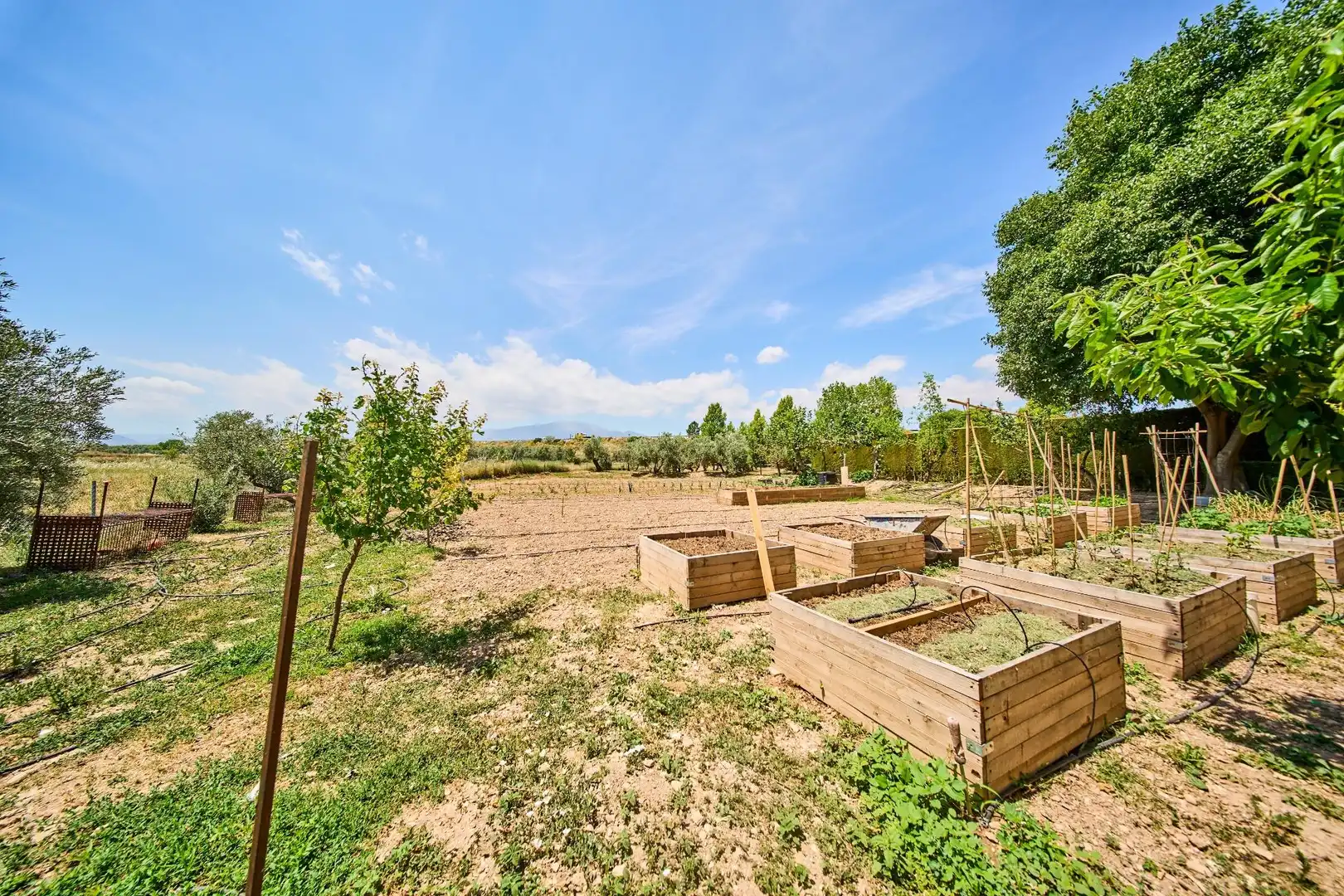 Finca rústica en venta en Caniles