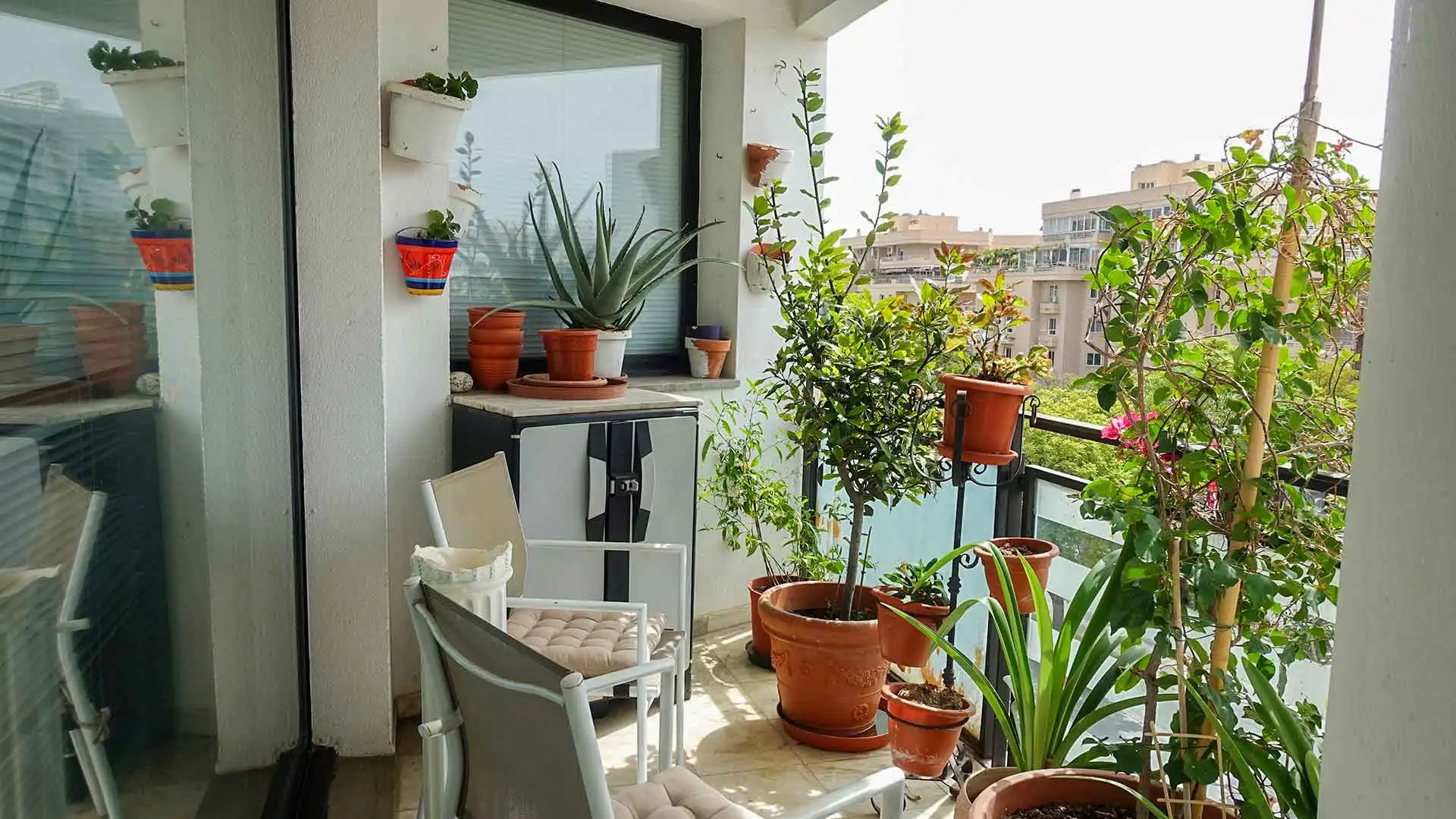Mini appartamento con terrazza in vendita a RICARDO SORIANO 72, imagen 5