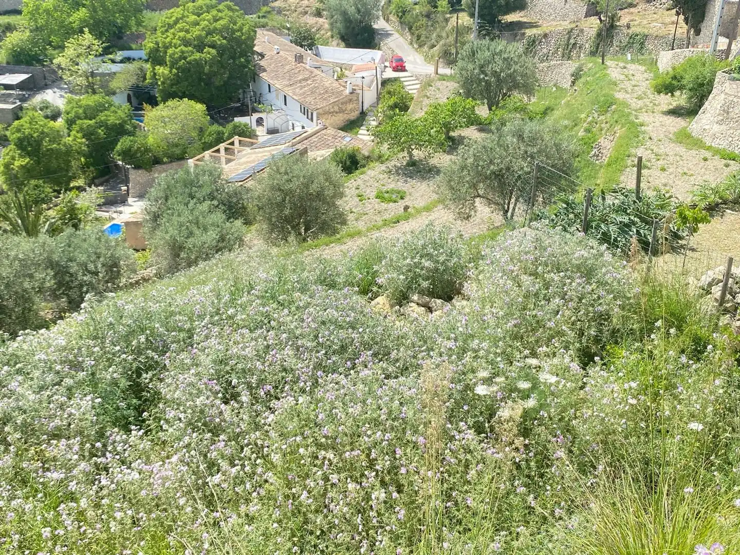 Wohnbaugrundstück zum Verkauf in Puigpunyent, imagen 21