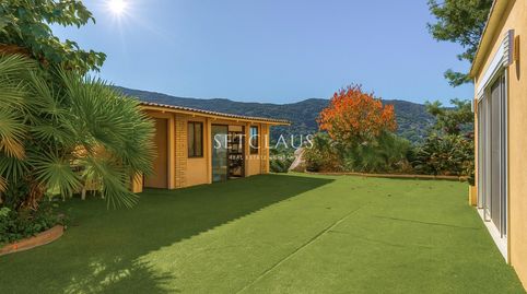 Gran finca con 3 viviendas, piscina y una gran parcela en Alella Coma Fosca  Can Comulada, imatge 5